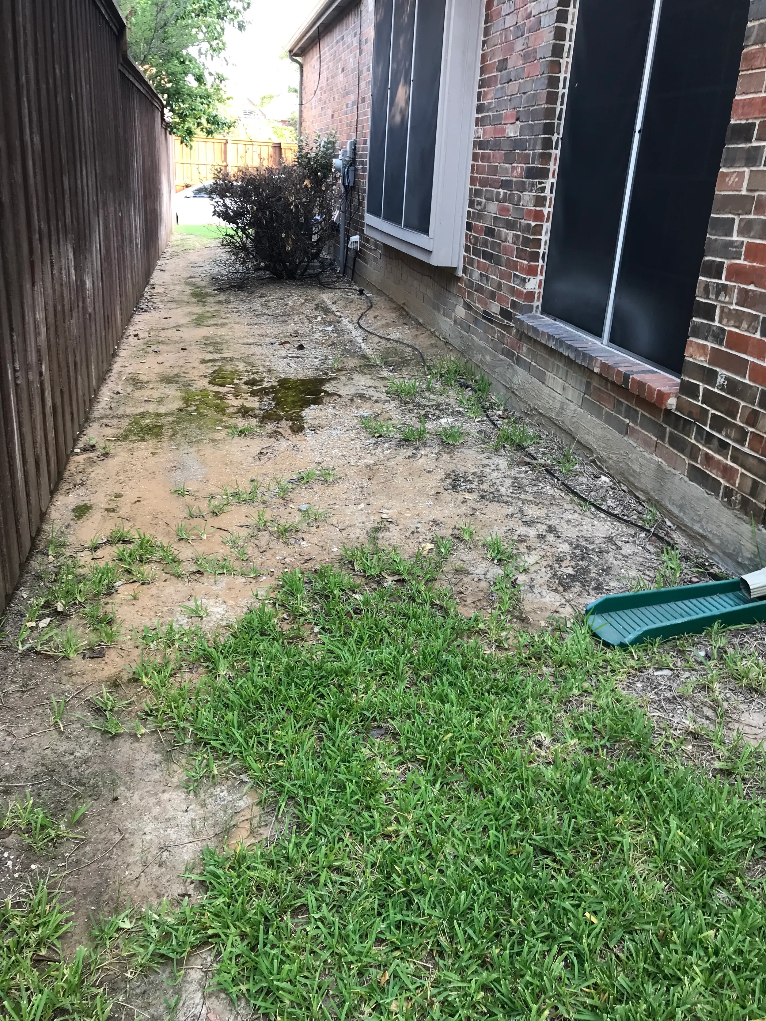 Front yard before a full landscape renovation