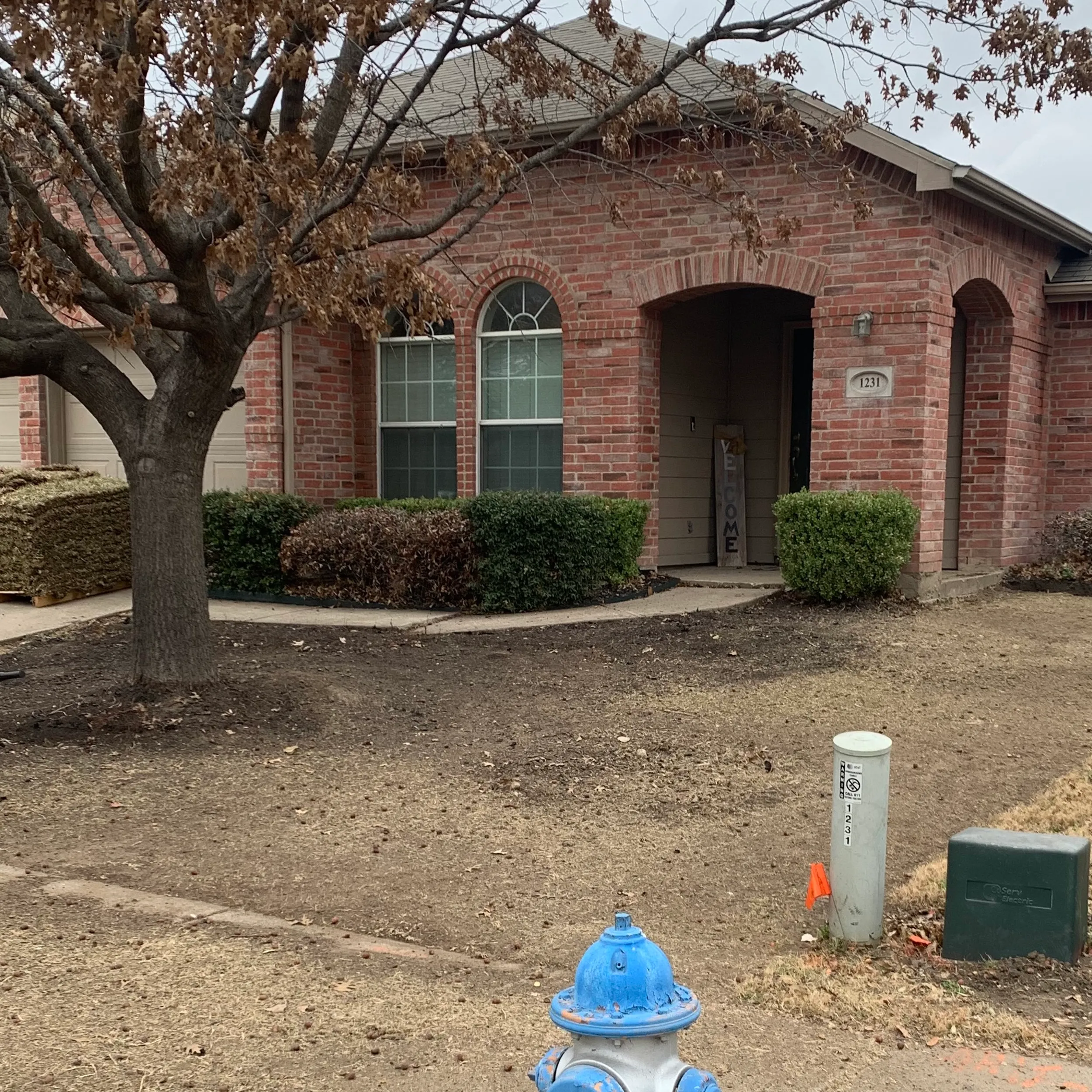 Backyard before a complete landscape transformation
