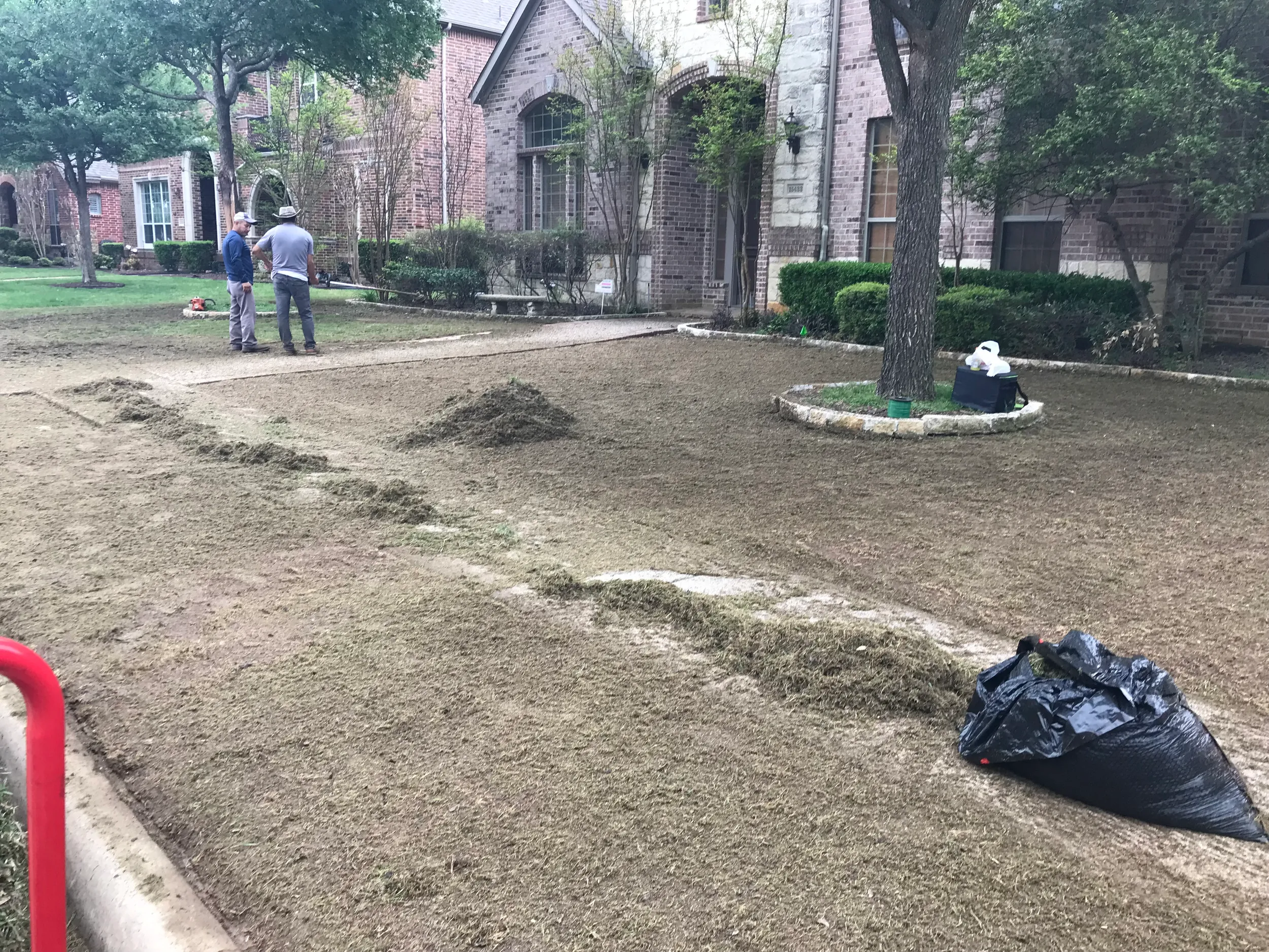 Front lawn scalped and cleared in preparation for new sod