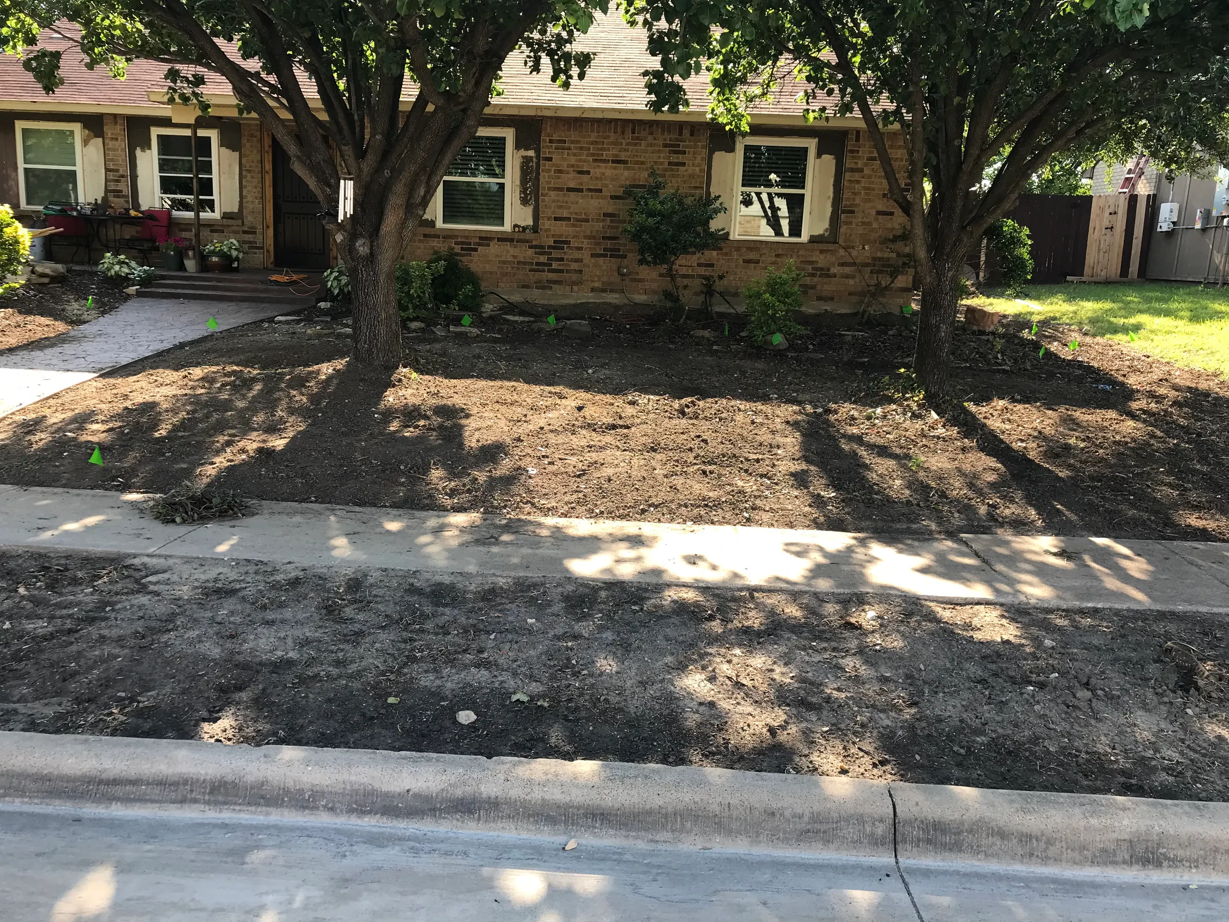 Fresh sod installed and rolled on a residential lawn